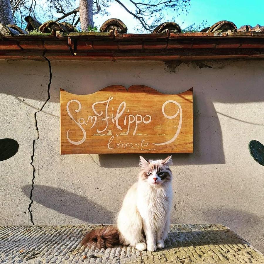 Villa San Filippo アレッツォ エクステリア 写真